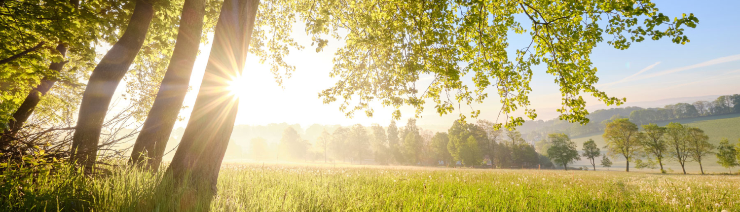 Silvia Hable - Bowen & Energetik im oberen Mühlviertel